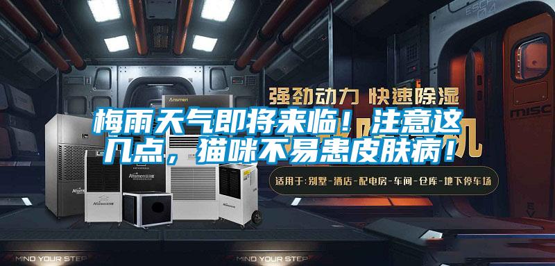 梅雨天氣即將來臨！注意這幾點，貓咪不易患皮膚?。?/></p>
						    <p style=