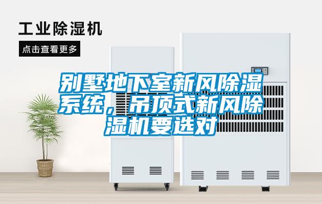 別墅地下室新風除濕系統(tǒng)，吊頂式新風除濕機要選對