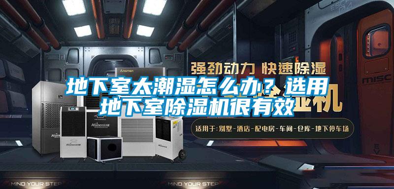 地下室太潮濕怎么辦？選用地下室除濕機(jī)很有效