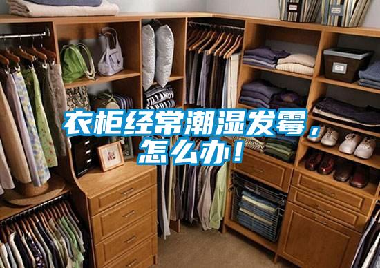 衣柜經(jīng)常潮濕發(fā)霉，怎么辦！