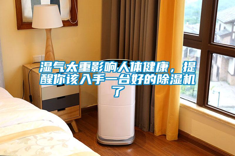 濕氣太重影響人體健康，提醒你該入手一臺(tái)好的除濕機(jī)了