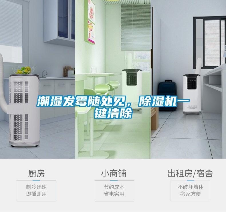 潮濕發(fā)霉隨處見，除濕機(jī)一鍵清除