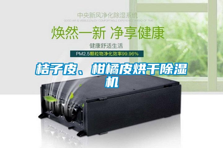 桔子皮、柑橘皮烘干除濕機
