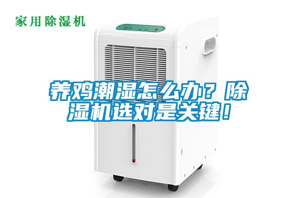養(yǎng)雞潮濕怎么辦？除濕機選對是關(guān)鍵！