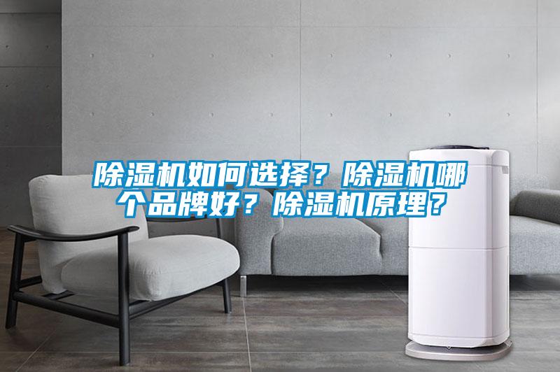 除濕機(jī)如何選擇？除濕機(jī)哪個品牌好？除濕機(jī)原理？