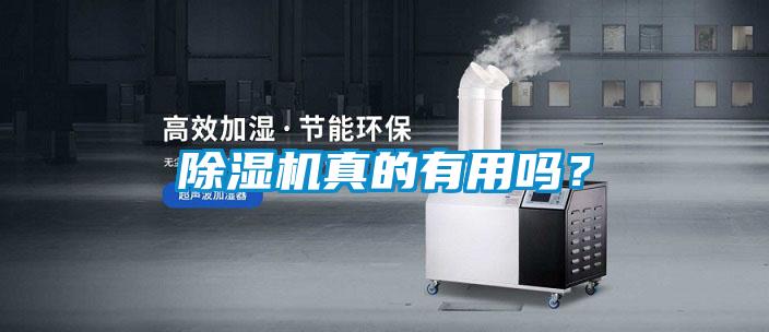 除濕機(jī)真的有用嗎？