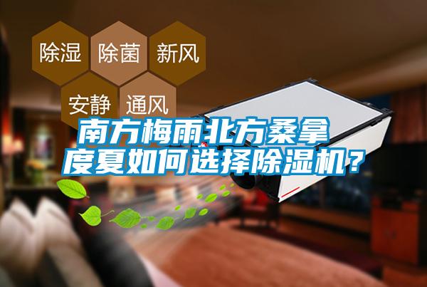 南方梅雨北方桑拿 度夏如何選擇除濕機？