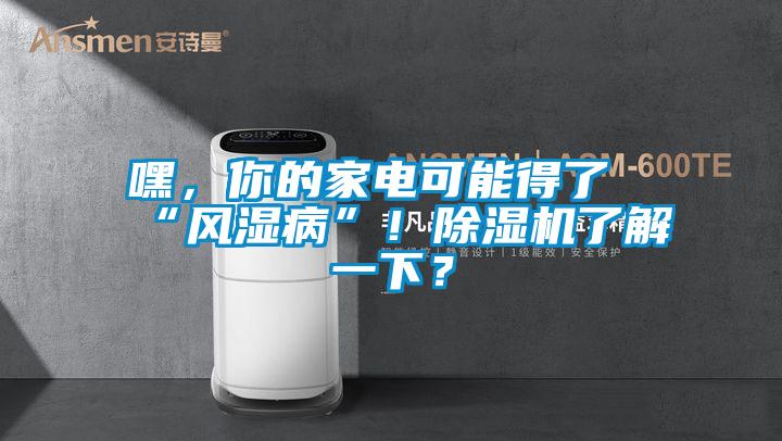 嘿，你的家電可能得了“風(fēng)濕病”！除濕機(jī)了解一下？