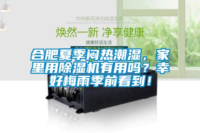 合肥夏季悶熱潮濕，家里用除濕機(jī)有用嗎？幸好梅雨季前看到！