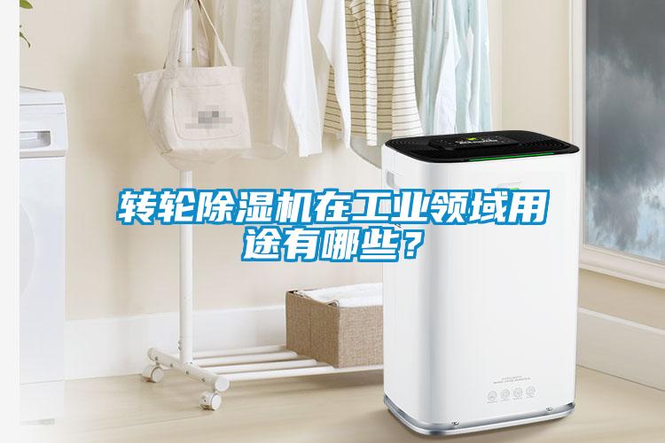 轉(zhuǎn)輪除濕機(jī)在工業(yè)領(lǐng)域用途有哪些？