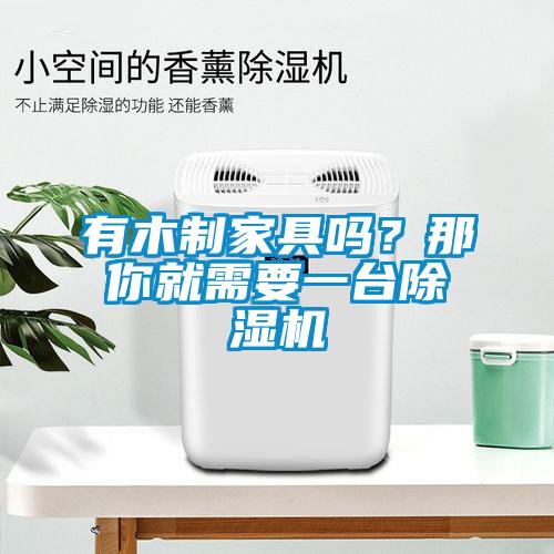 有木制家具嗎？那你就需要一臺(tái)除濕機(jī)