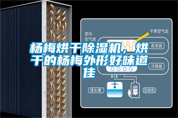 楊梅烘干除濕機(jī)，烘干的楊梅外形好味道佳