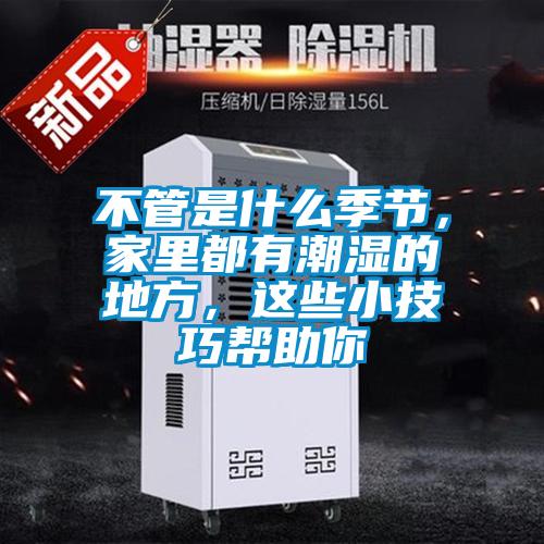 不管是什么季節(jié)，家里都有潮濕的地方，這些小技巧幫助你