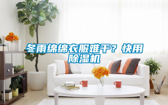 冬雨綿綿衣服難干？快用除濕機(jī)