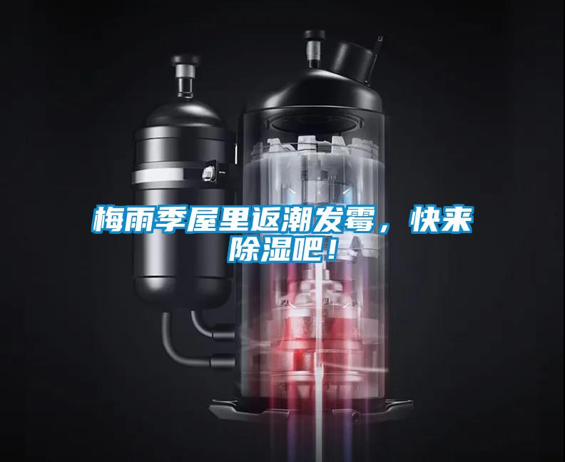 梅雨季屋里返潮發(fā)霉，快來除濕吧！