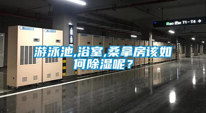 游泳池,浴室,桑拿房該如何除濕呢？