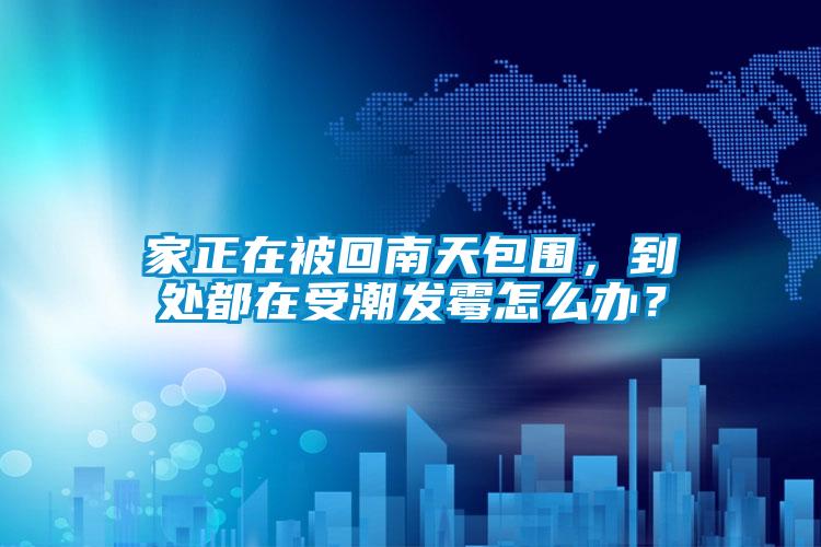 家正在被回南天包圍，到處都在受潮發(fā)霉怎么辦？