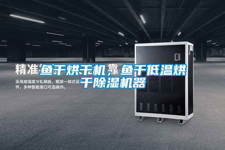 魚干烘干機，魚干低溫烘干除濕機器