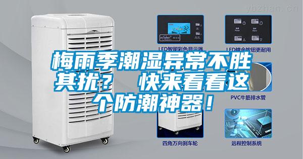 梅雨季潮濕異常不勝其擾？ 快來看看這個防潮神器！