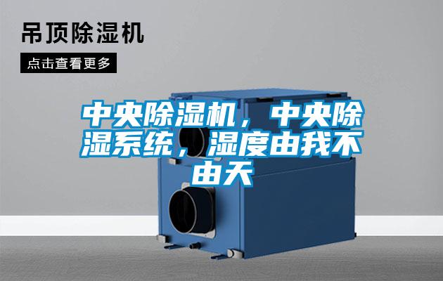 中央除濕機，中央除濕系統(tǒng)，濕度由我不由天