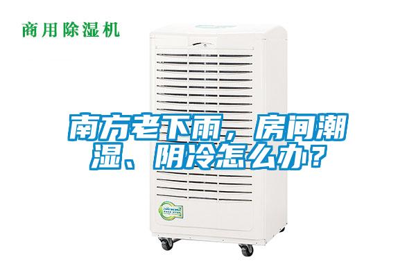 南方老下雨，房間潮濕、陰冷怎么辦？