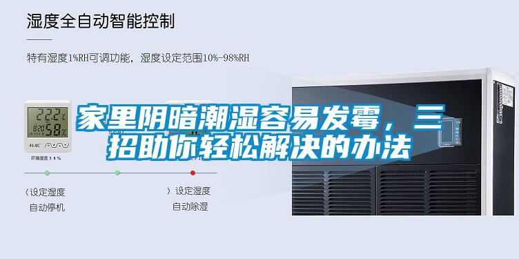 家里陰暗潮濕容易發(fā)霉，三招助你輕松解決的辦法