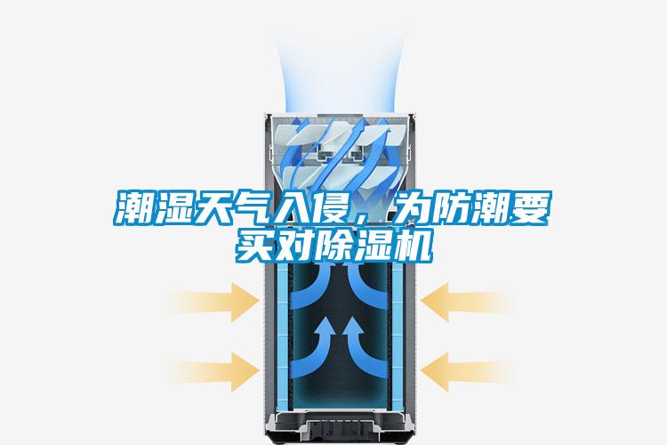 潮濕天氣入侵，為防潮要買對除濕機