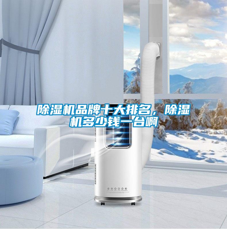 除濕機(jī)品牌十大排名，除濕機(jī)多少錢一臺(tái)啊