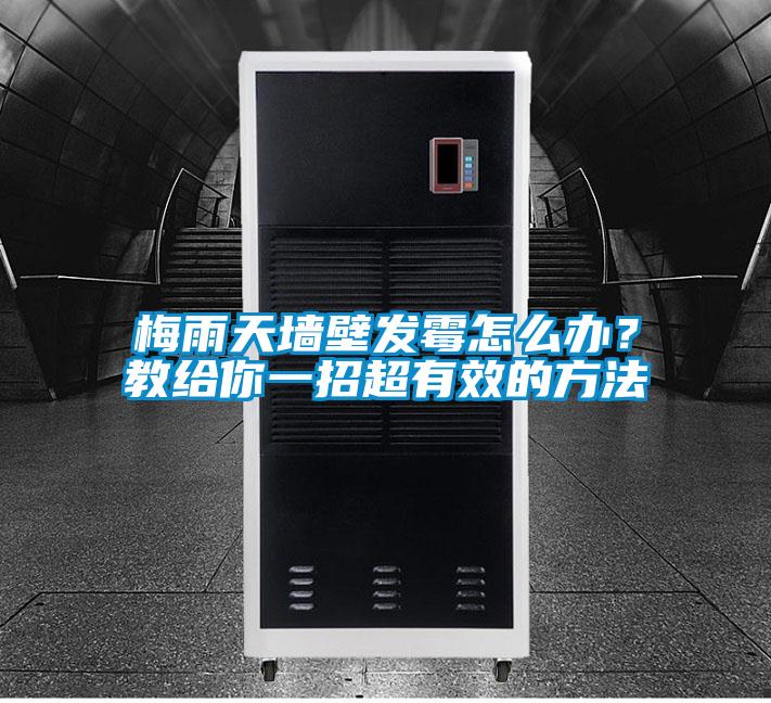 梅雨天墻壁發(fā)霉怎么辦？教給你一招超有效的方法