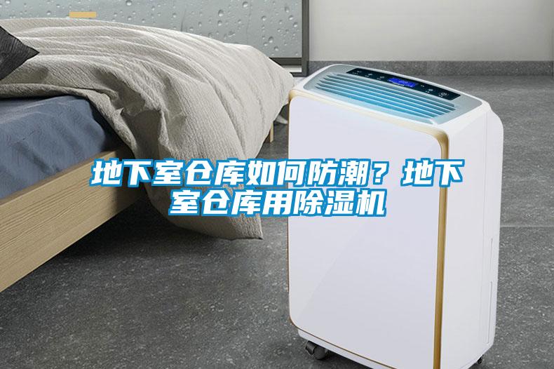 地下室倉(cāng)庫(kù)如何防潮？地下室倉(cāng)庫(kù)用除濕機(jī)