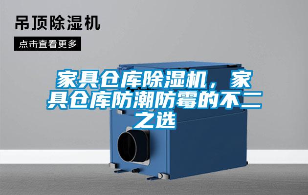 家具倉(cāng)庫(kù)除濕機(jī)，家具倉(cāng)庫(kù)防潮防霉的不二之選