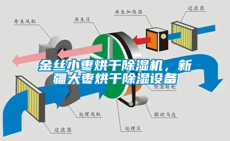 金絲小棗烘干除濕機，新疆大棗烘干除濕設備
