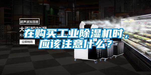 在購(gòu)買(mǎi)工業(yè)除濕機(jī)時(shí)，應(yīng)該注意什么？