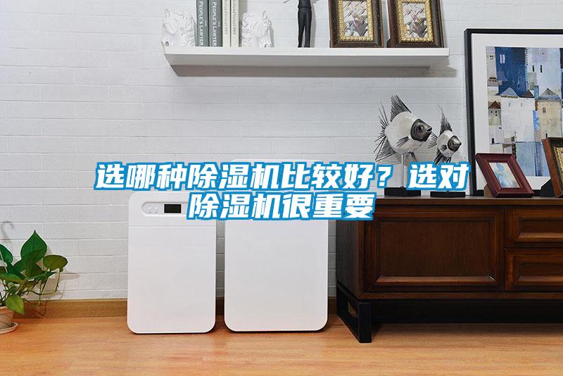 選哪種除濕機(jī)比較好？選對(duì)除濕機(jī)很重要