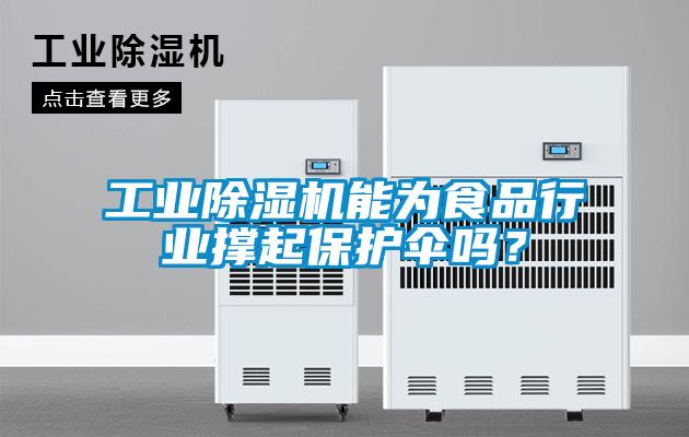 工業(yè)除濕機(jī)能為食品行業(yè)撐起保護(hù)傘嗎？