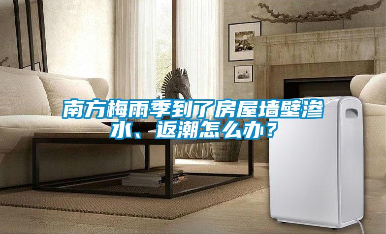 南方梅雨季到了房屋墻壁滲水、返潮怎么辦？