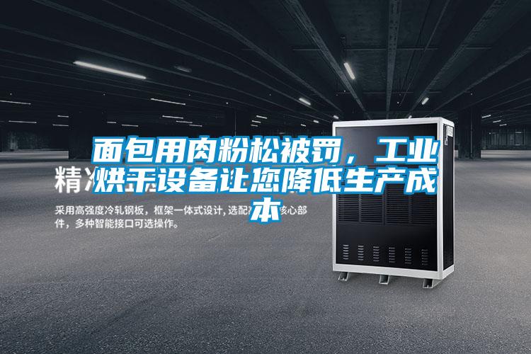面包用肉粉松被罰，工業(yè)烘干設(shè)備讓您降低生產(chǎn)成本