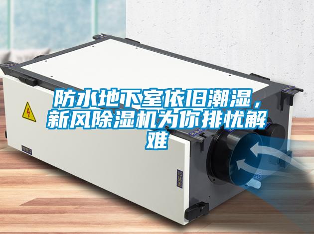 防水地下室依舊潮濕，新風除濕機為你排憂解難