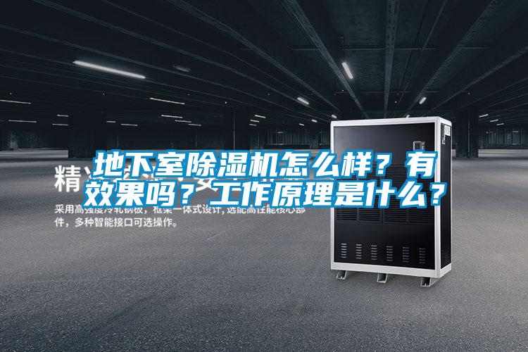 地下室除濕機怎么樣？有效果嗎？工作原理是什么？