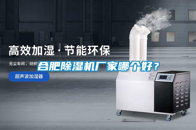 合肥除濕機(jī)廠家哪個(gè)好？