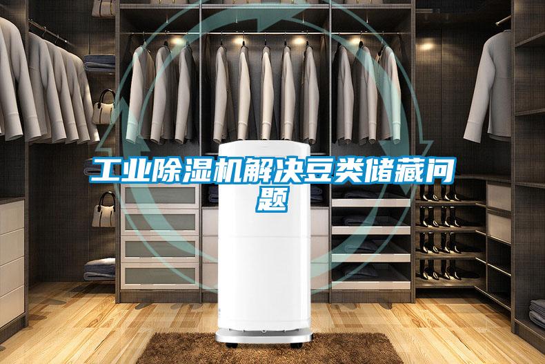 工業(yè)除濕機(jī)解決豆類儲(chǔ)藏問題
