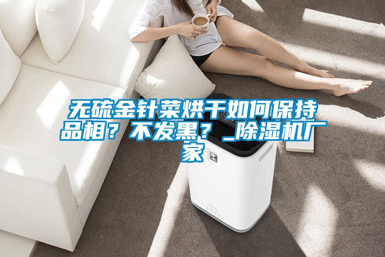 無(wú)硫金針菜烘干如何保持品相？不發(fā)黑？_除濕機(jī)廠家