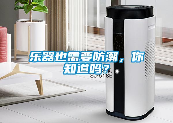 樂(lè)器也需要防潮，你知道嗎？