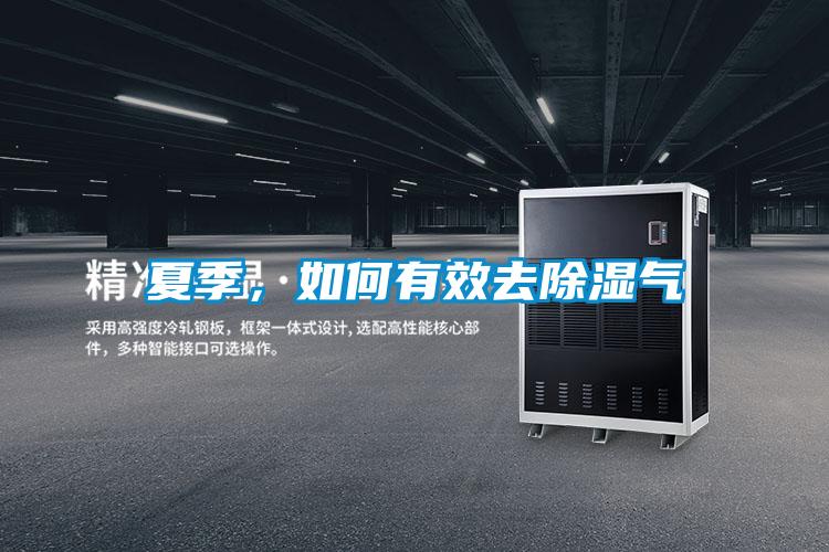 夏季，如何有效去除濕氣