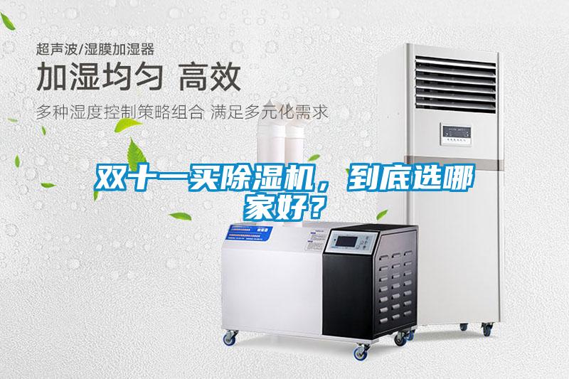 雙十一買除濕機(jī)，到底選哪家好？