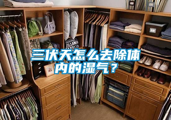 三伏天怎么去除體內(nèi)的濕氣？