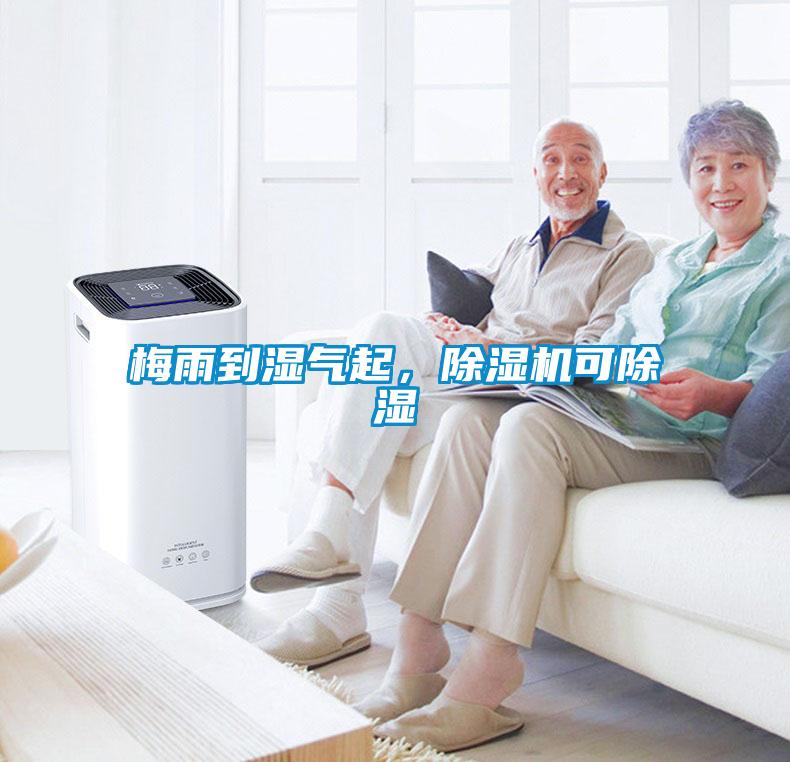 梅雨到濕氣起，除濕機可除濕