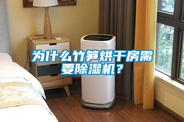 為什么竹筍烘干房需要除濕機？