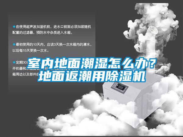 室內地面潮濕怎么辦？地面返潮用除濕機