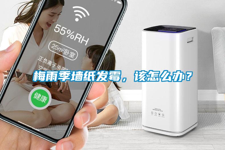 梅雨季墻紙發(fā)霉，該怎么辦？
